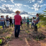 Imagem de pessoas participando do Curso de Design em Permacultura realizado no ano de 2022 na agrofloresta do campus Varginha.