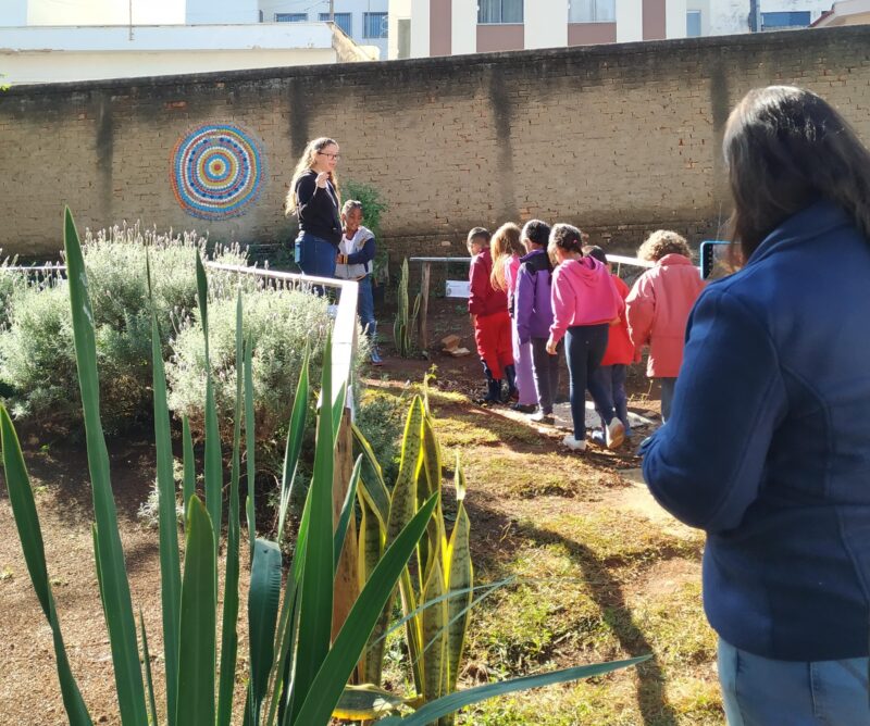 Crianças visitando a horta