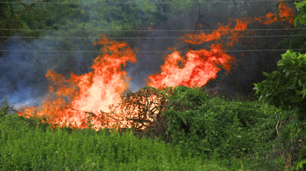 A imagem ilustrativa mostra a foto de um incêndio florestal com chamas intensas em tons de laranja e vermelho consumindo vegetação seca, em contraste com a vegetação verde no primeiro plano.