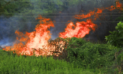 A imagem ilustrativa mostra a foto de um incêndio florestal com chamas intensas em tons de laranja e vermelho consumindo vegetação seca, em contraste com a vegetação verde no primeiro plano.