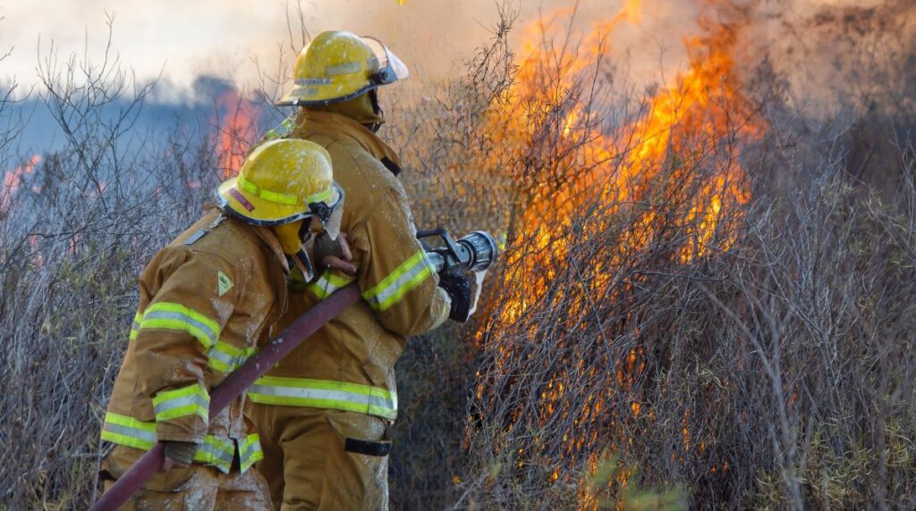 Bombeiros militares que combatem incêndios florestais apresentam maior exposição a substâncias potencialmente cancerígenas, aponta estudo